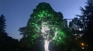 Christmas light trails